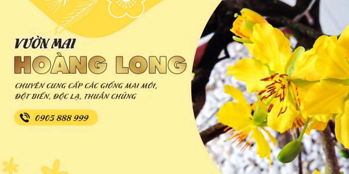 Vẻ Đẹp Say Đắm Lồng Người Của Cúc Hồng Huyết Long 