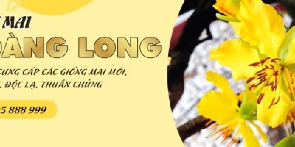 Những Cây Mai Khủng Nổi Tiếng Được Trầm Trồ