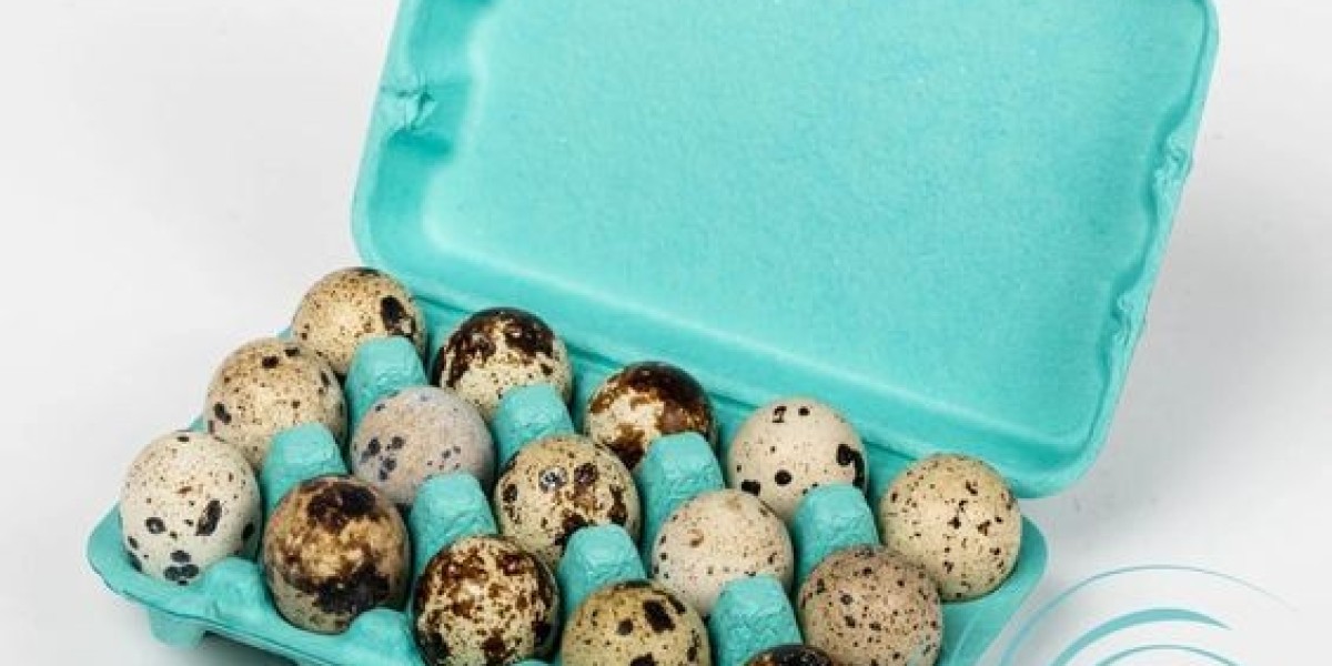 Breaking the Shell—Sustainable Egg Packaging Revolution in Poultry Cartons
